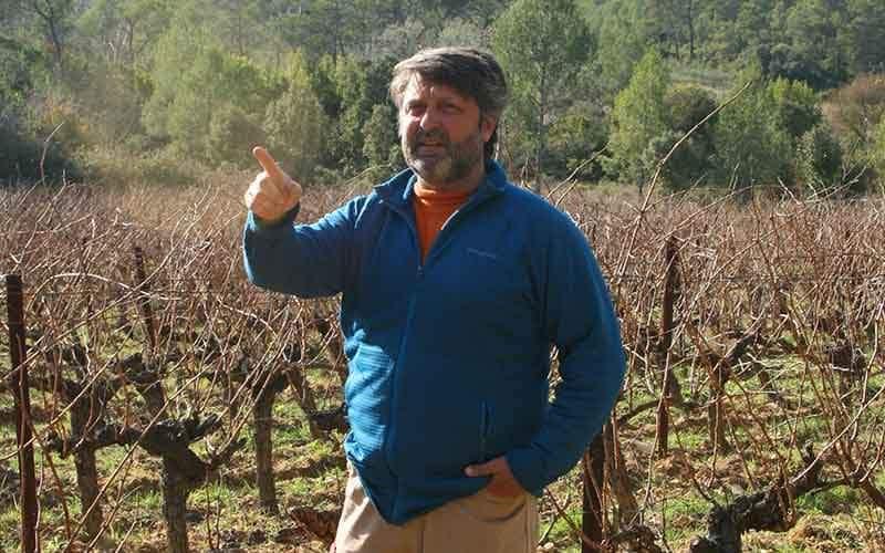 Clos des ors languedoc bio