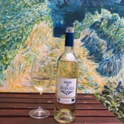 Domaine de granajolo blanc cuvee monika corse porto vecchio 2019